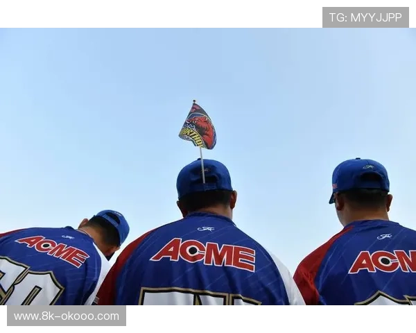 慢投垒球赛事成为全民健身新名片，宁波市协会致力推广棒垒球文化